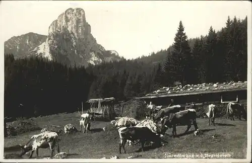 Ruhpolding Kuehe / Ruhpolding /Traunstein LKR