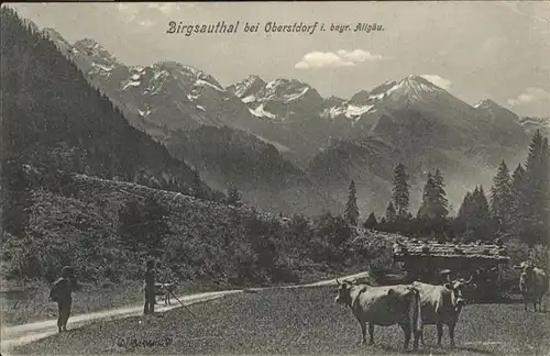 Oberstdorf Birgsauthal Kuehe / Oberstdorf /Oberallgaeu LKR