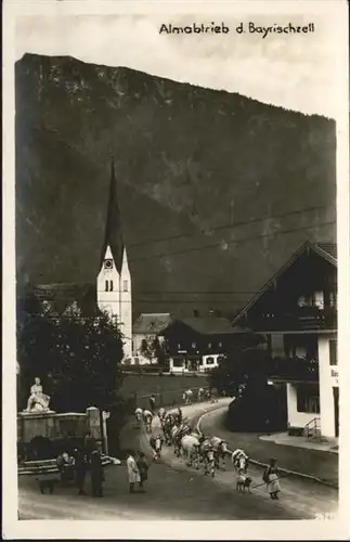 Bayrischzell Almabtrieb / Bayrischzell /Miesbach LKR