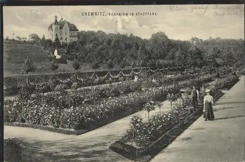 Chemnitz Rosarium Stadtpark x