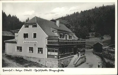 Zwiesel Niederbayern Gaststaette Regenhuette / Zwiesel /Regen LKR