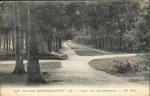 Brunshaupten 