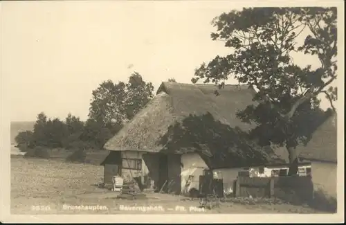 Brunshaupten Bauerngehoeft