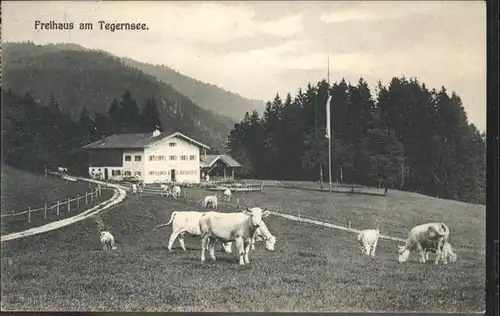 Tegernsee Freihaus Kuehe