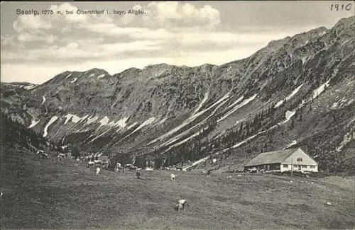 Oberstdorf Seealp Kuehe