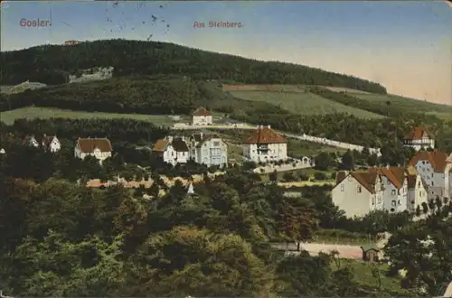 Goslar Steinberg x