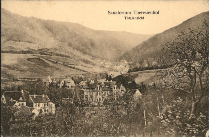 Goslar Sanatorium Theresienhof X Nr Ws79758 Oldthing