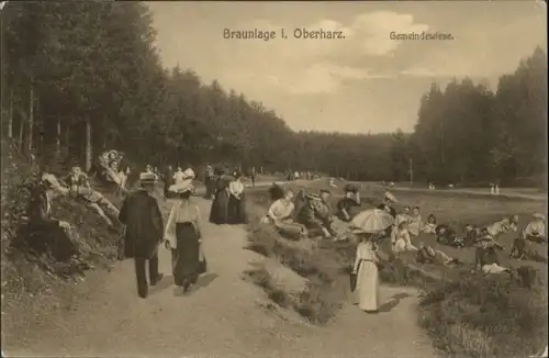 Braunlage Harz Gemeindewiese x