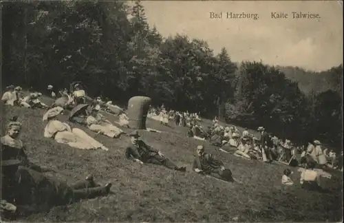 Bad Harzburg Kalte Talwiese x