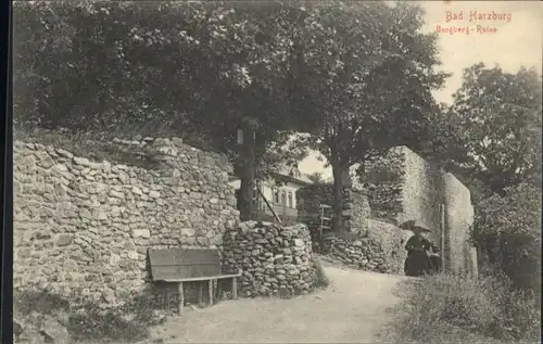 Bad Harzburg Burgberg Ruine *