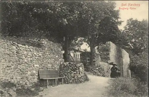 Bad Harzburg Burgberg Ruine *