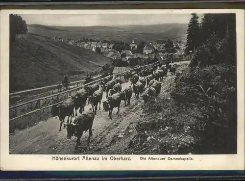 Altenau Harz Altenauer Damenkapelle *