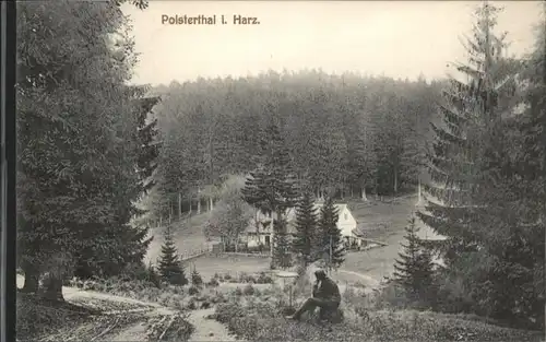 Altenau Harz Polsterthal *