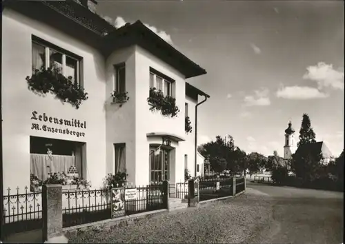 Memmingen [Verlag Foto Batscheider] Lebensmittel M. Enzensberger *