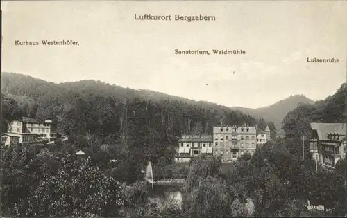 Bad Bergzabern Kurhaus Westenhoefer Sanatorium Waldmuehle Luisenruhe *
