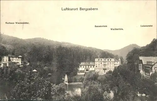 Bad Bergzabern Kurhaus Westenhoefer Sanatorium Waldmuehle Luisenruhe x