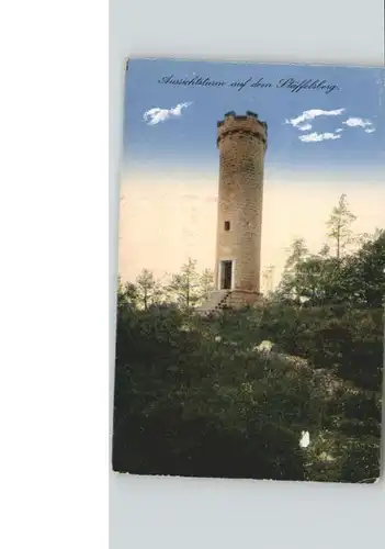 Bad Bergzabern [Fotohaus Karl Herr] Staeffelsberg Turm *