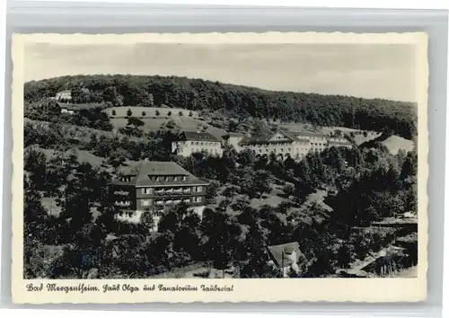 Bad Mergentheim Sanatorium Taubertal Haus Olga *