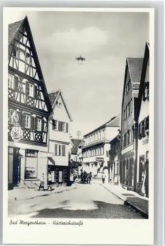 Bad Mergentheim Haerterichstrasse *