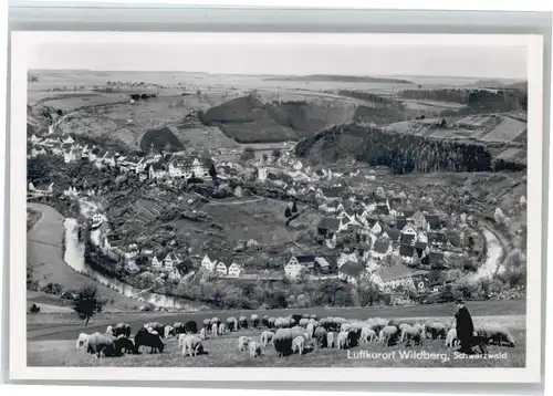 Wildberg Schwarzwald Wildberg  * / Wildberg /Calw LKR