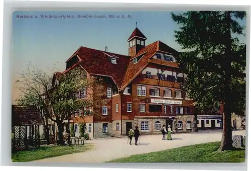 Kniebis Freudenstadt Kniebis Kurhaus Kniebis-Lamm * / Freudenstadt /Freudenstadt LKR