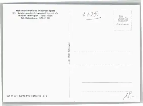 Kniebis Freudenstadt Kniebis Pension Immergruen * / Freudenstadt /Freudenstadt LKR