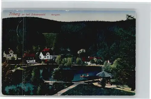 Triberg Bergsee x