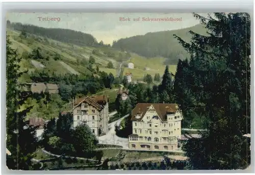 Triberg Schwarzwaldhotel   x