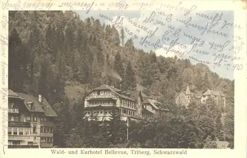 Triberg Hotel Bellevue *