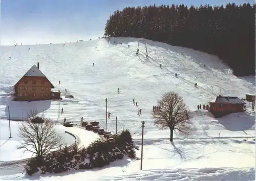 Furtwangen Gasthof Pension zum Loewen *