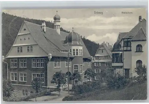 Triberg Schule x