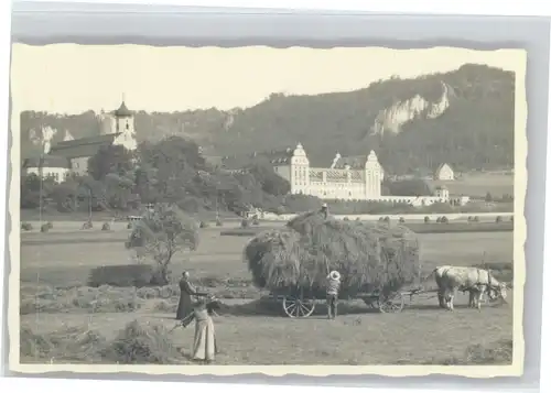 Beuron Donautal Beuron Erzabtei Kloster Heuernte * / Beuron /Sigmaringen LKR