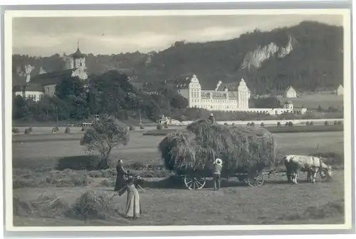 Beuron Donautal Beuron Erzabtei Heuernte * / Beuron /Sigmaringen LKR