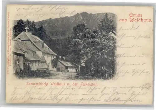 Zwiesel Niederbayern Zwiesel Waldhaus Falkenstein x / Zwiesel /Regen LKR