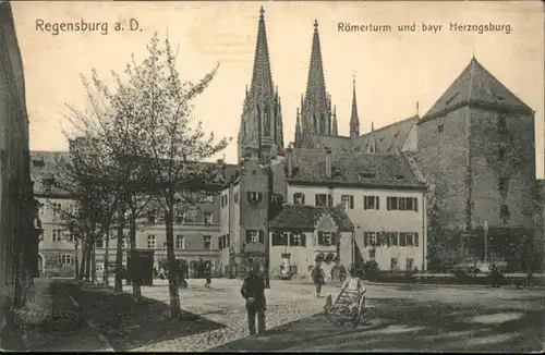 Regensburg Roemerturm Herzogsburg *