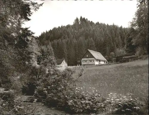 Altensteig Schwarzwald Altensteig Gasthaus Kohlmuehle * / Altensteig /Calw LKR