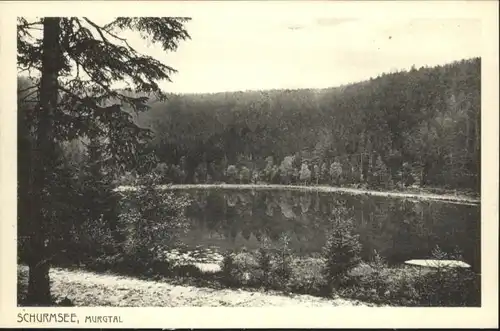 Schoenmuenzach Schurmsee Murgtal *