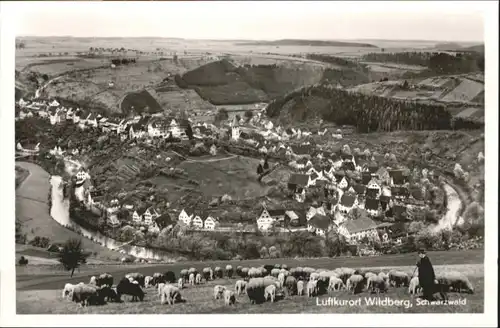 Wildberg Schwarzwald Wildberg  * / Wildberg /Calw LKR