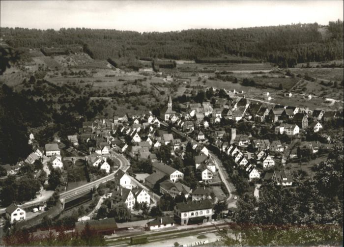 Wildberg Schwarzwald Wildberg * / Wildberg /Calw LKR Nr. wu66290