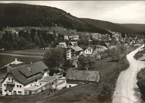 Enzkloesterle  *