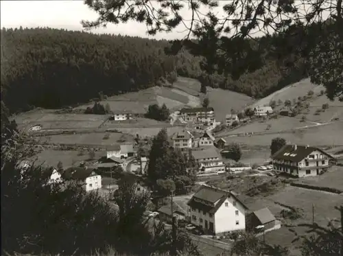 Enzkloesterle Haus Rehblick *