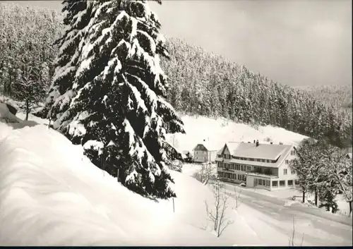 Enzkloesterle Hotel Gasthof Enzursprung *