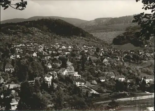 Gernsbach Scheuern *