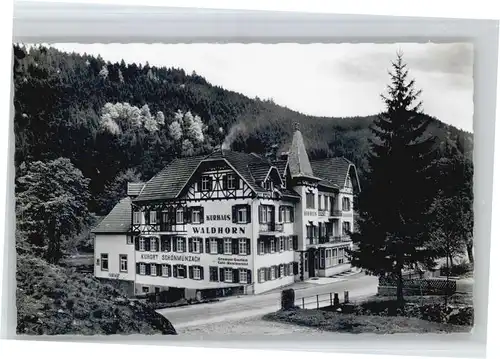 Schoenmuenzach Kurhaus Waldhorn *