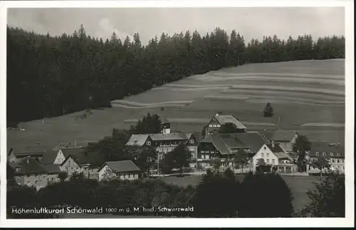 Schoenwald  *