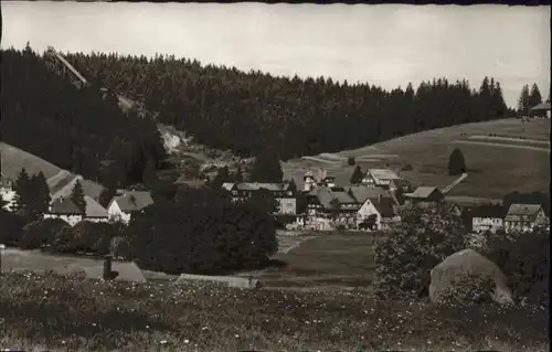 Schoenwald Erholungsheim Kurhaus Viktoria *