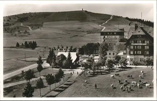 Feldberg Hotel Feldbergerhof *