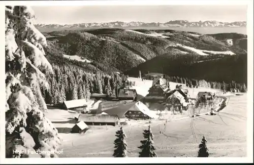 Feldberg Hotel Feldbergerhof *