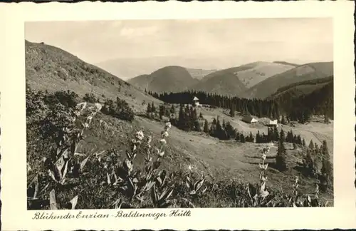 Feldberg Baldenweger Huette *