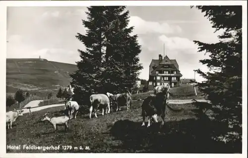 Feldberg Hotel Feldbergerhof *